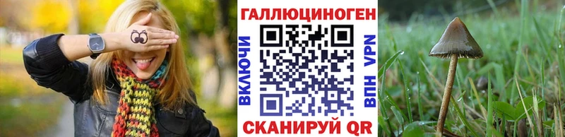 Псилоцибиновые грибы мухоморы  shop клад  Сковородино 